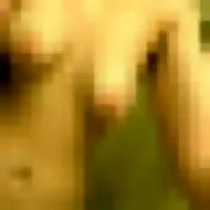 Photo privée de Leila, 22 ans à Saint-Gervais-sur-Mare - plan discret