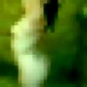 Daphne de Saint-Haon-le-Châtel, 38 ans - plan cul sans prise de tête