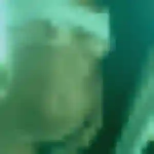 Profil de Paloma à Saint-Hilaire-lez-Cambrai (34 ans) - plan cul gratuit