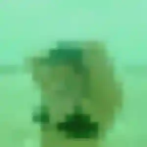Delphine, 43 ans, dispo pour plan cul à Saint-Hippolyte