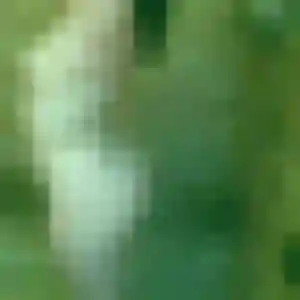 Belle Faustine, 24 ans à Saint-Jean-de-la-Neuville - la contacter