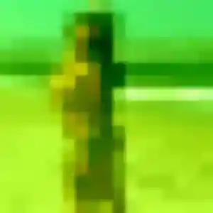 Profil de Nadine à Saint-Jean-sur-Vilaine (30 ans) - plan cul anonyme
