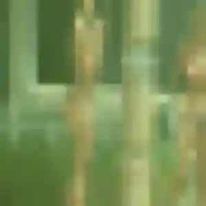 Rejoins Laura, 26 ans à Saint-Julien-en-Born en privé