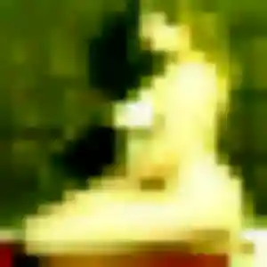 Janine, 37 ans, cherche un plan cul à Saint-Julien-en-Saint-Alban