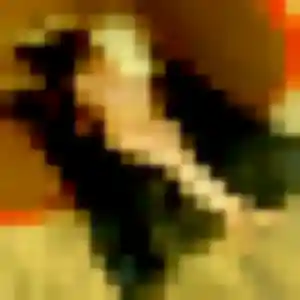 Photo de Madeleine à Saint-Martin-d'Auxigny (33 ans) - plan cul gratuit