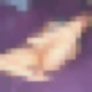 Gisele, 40 ans, dispo pour plan cul à Saint-Martin-de-Gurson