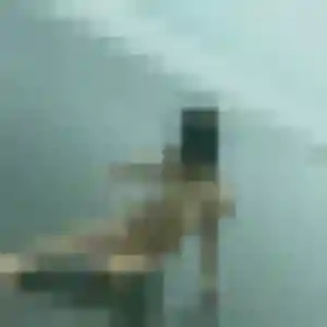 Photo perso de Emilie, 43 ans à Saint-Martin-de-Nigelles - plan discret