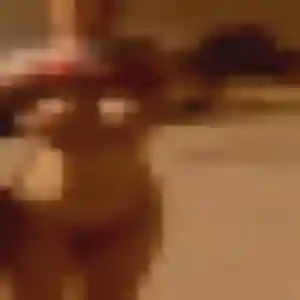 Louna, 34 ans, en ligne à Saint-Martin-de-Ribérac pour un plan cul