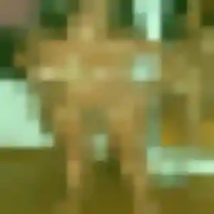 Photo privée de Berengere, 22 ans à Saint-Martin-du-Tertre - rencontre coquine