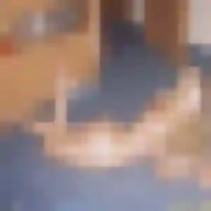 Photo de Rachel à Saint-Martin-le-Gréard (39 ans) - plan cul gratuit