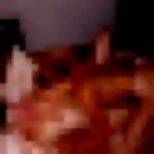 Photo sexy de Delia, 32 ans à Saint-Menges - rencontre sans lendemain