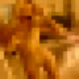 Zephyrine, 34 ans, en ligne à Saint-Nicolas-de-Macherin pour une rencontre coquine