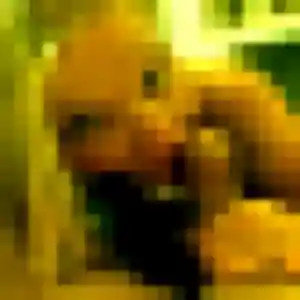 Photo de Marion à Saint-Nizier-de-Fornas (41 ans) - plan cul anonyme