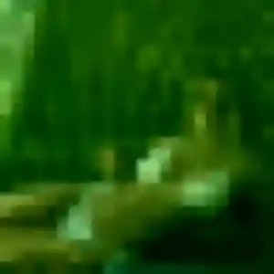 Photo privée de Marie-Cecile, 30 ans à Saint-Paul - rencontre coquine