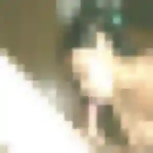 Sexy Emilie, 30 ans à Saint-Pierre-d'Irube - la contacter