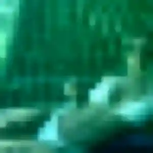 Photo de Blanche à Saint-Pierre-de-Chignac (37 ans) - plan cul anonyme