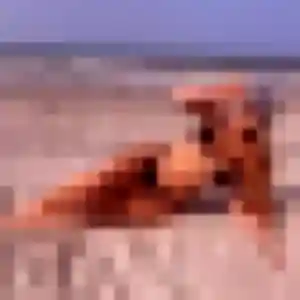 Photo exclusive de Morgane, 39 ans à Saint-Pierre-de-Mons - rencontre coquine