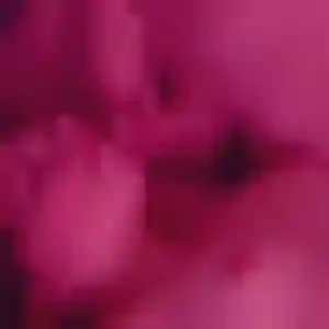 Sexy Paloma, 43 ans à Saint-Rémy-de-la-Vanne - la contacter