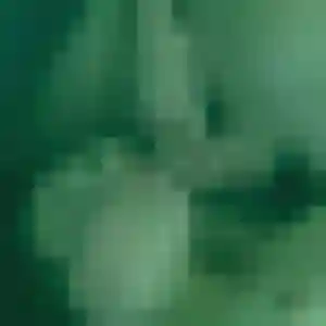 Photo sexy de Brune, 22 ans à Saint-Romain-de-Jalionas - rencontre sans lendemain
