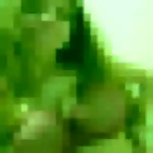 Photo de Lamia à Saint-Saturnin-lès-Avignon (43 ans) - plan cul anonyme
