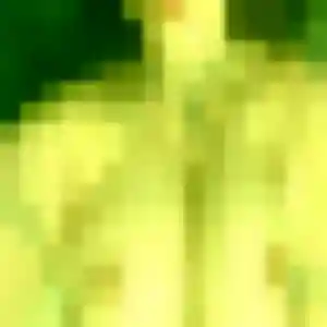 Idalina, fille de 42 ans cherche plan cul à Saint-Servais