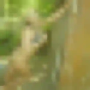 Vinciane (42 ans) à Saint-Sixte cherche une rencontre rapidement