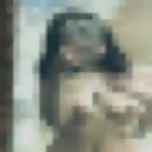 Ornella, 41 ans, cherche un plan cul à Saint-Sulpice-de-Royan