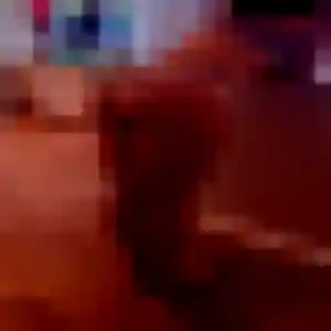 Heloise, 31 ans, dispo pour plan cul à Saint-Viaud