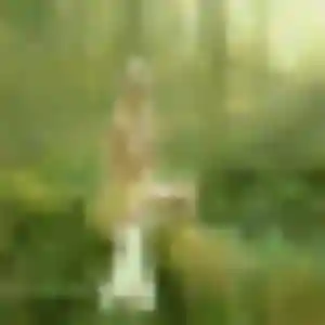 Nicole (43 ans) à Sainte-Marie-Cappel attend une rencontre ce soir