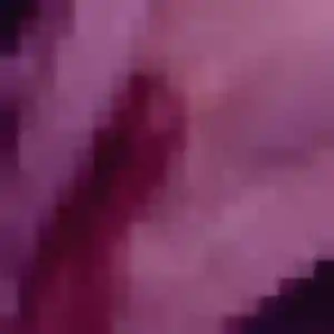 Zina, 41 ans, dispo pour plan cul à Sainte-Menehould