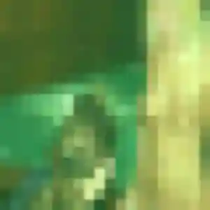 Daniela, 29 ans, cherche un plan cul à Sainte-Sabine-sur-Longève