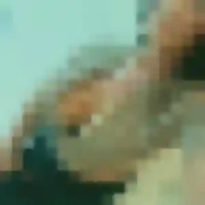Sexy Adelaide, 37 ans à Sainte-Scolasse-sur-Sarthe - la contacter