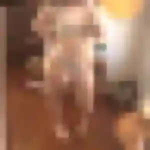 Yolande, 24 ans, dispo pour plan cul à Saintes-Maries-de-la-Mer