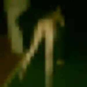 Photo perso de Vicky, 40 ans à Sallertaine - rencontre coquine