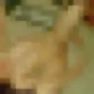 Brigitte (41 ans) à Sarzeau propose une rencontre rapidement