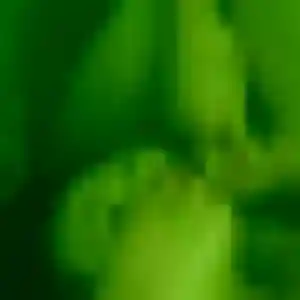 Typhaine (41 ans) à Savy propose une rencontre maintenant