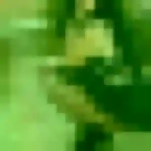 Jolie Fleur, 26 ans à Schaeffersheim - la contacter