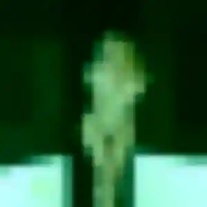Photo sexy de Bernadette, 28 ans à Seninghem - plan discret