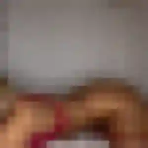 Nolwenn, femme de 38 ans cherche plan cul à Sennecey-lès-Dijon