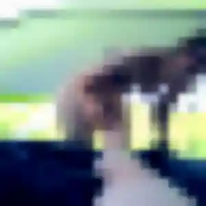 Photo perso de Juliette, 45 ans à Senones - rencontre coquine