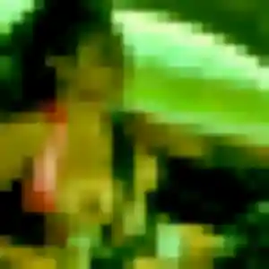 Photo de Dana à Sermaise (39 ans) - plan cul anonyme