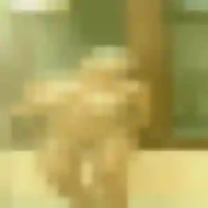 Profil de Capucine à Servoz (25 ans) - plan cul discret