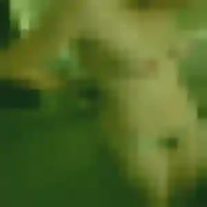 Photo perso de Muriel, 35 ans à Seyches - rencontre sans lendemain