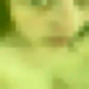Photo de Iseult à Sin-le-Noble (45 ans) - plan cul gratuit