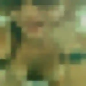 Photo de Yasmina à Sixt-Fer-à-Cheval (34 ans) - plan cul anonyme