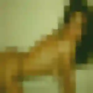 Sexy Sonia, 45 ans à Sougy - découvrir son profil