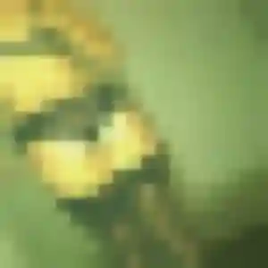 plan cul à Steinbrunn-le-Bas : photo de Armelle, 29 ans - inscription gratuite