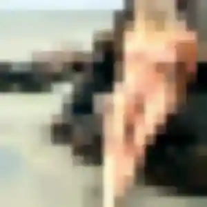Philippine (41 ans) à Tarcenay-Foucherans cherche un plan cul aujourd'hui