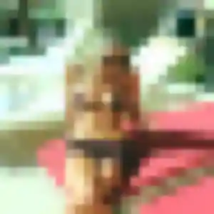 Fanny, 26 ans, cherche un plan cul à Tercis-les-Bains