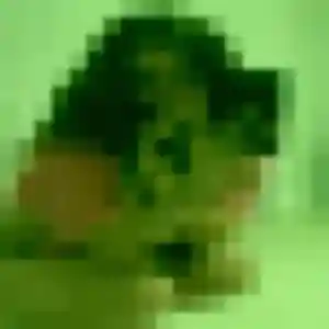 Clarisse, 24 ans, cherche un plan cul à Thiescourt
